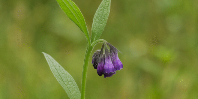 961402ee-5f58-4ac6-86e4-698a8621ca85